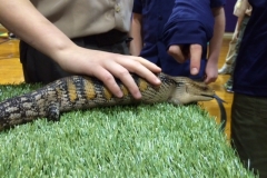5721962-orig