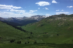 IMG_0531
