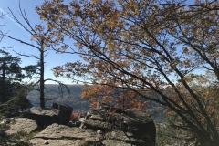 E86D0AD4-7156-4651-BFEC-5AB347413FBF_1_105_c